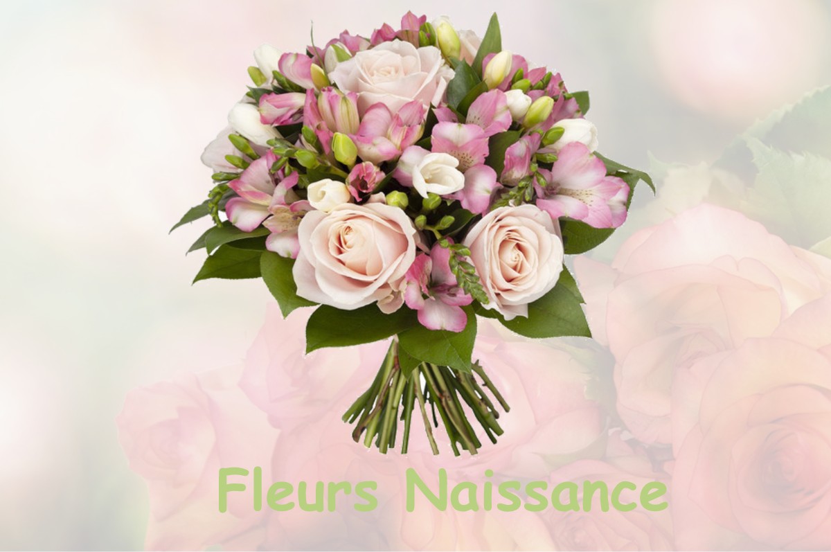 fleurs naissance SAINT-GENIS-DES-FONTAINES